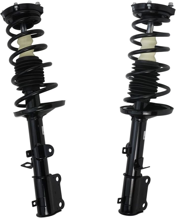 Rear Strut w/Coil Spring - 171953_171954