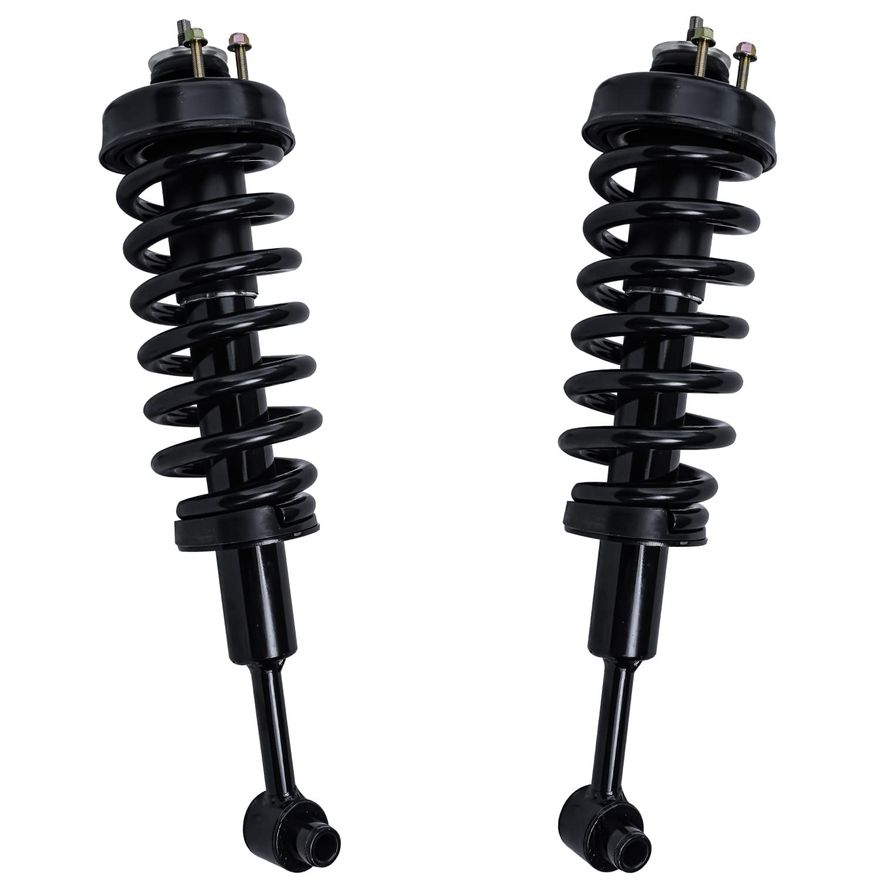 Rear Strut w/Coil Spring - 171322 x2