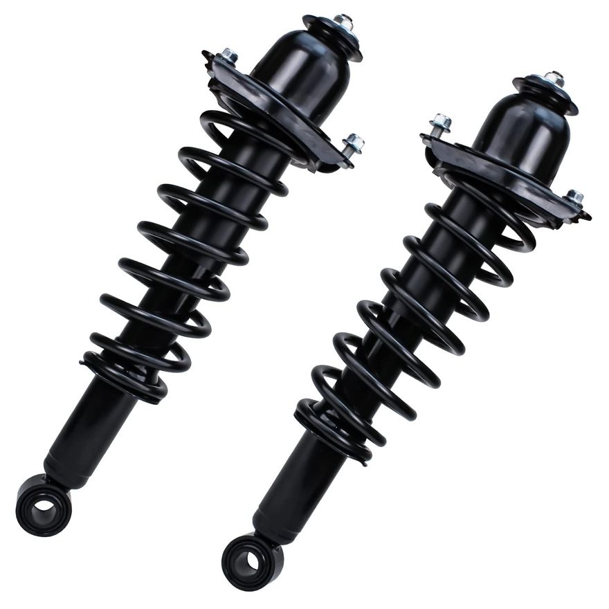 Rear Strut w/Coil Spring - 172599L_172599R