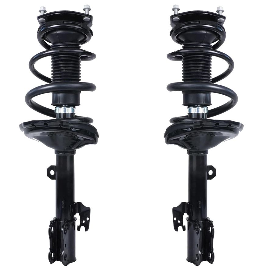 Rear Strut w/Coil Spring - 172215_172216