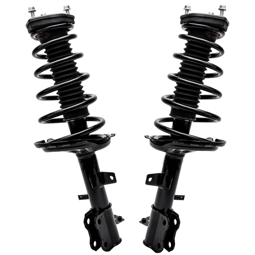 Rear Strut w/Coil Spring - 172215_172216