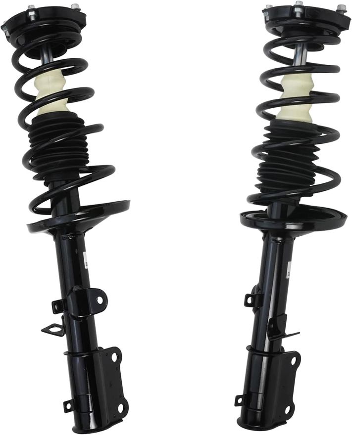 Rear Struts w/Coil Spring - 171953_171954