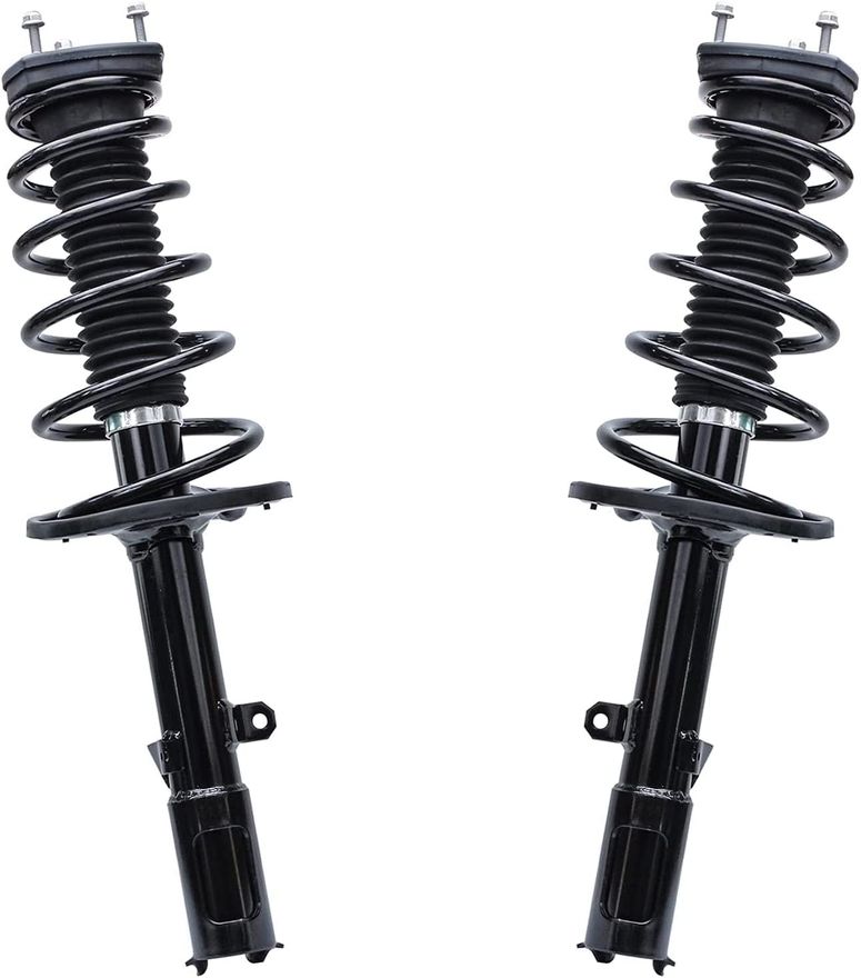 Rear Struts w/Coil Spring - 172309_172310