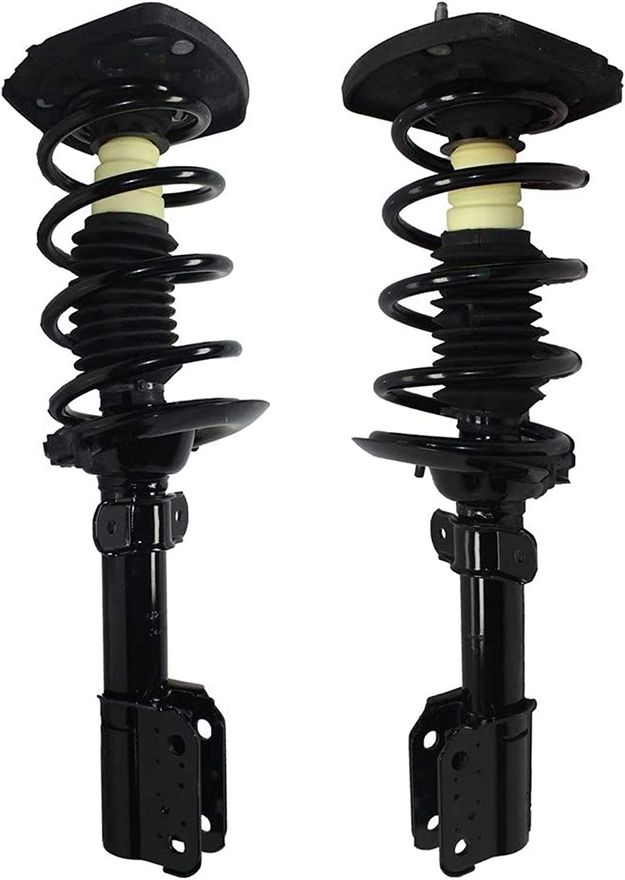 Rear Struts w/Coil Spring - 171662L_171662R