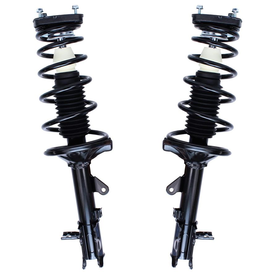 Rear Struts w/Coil Spring - 171406_171407
