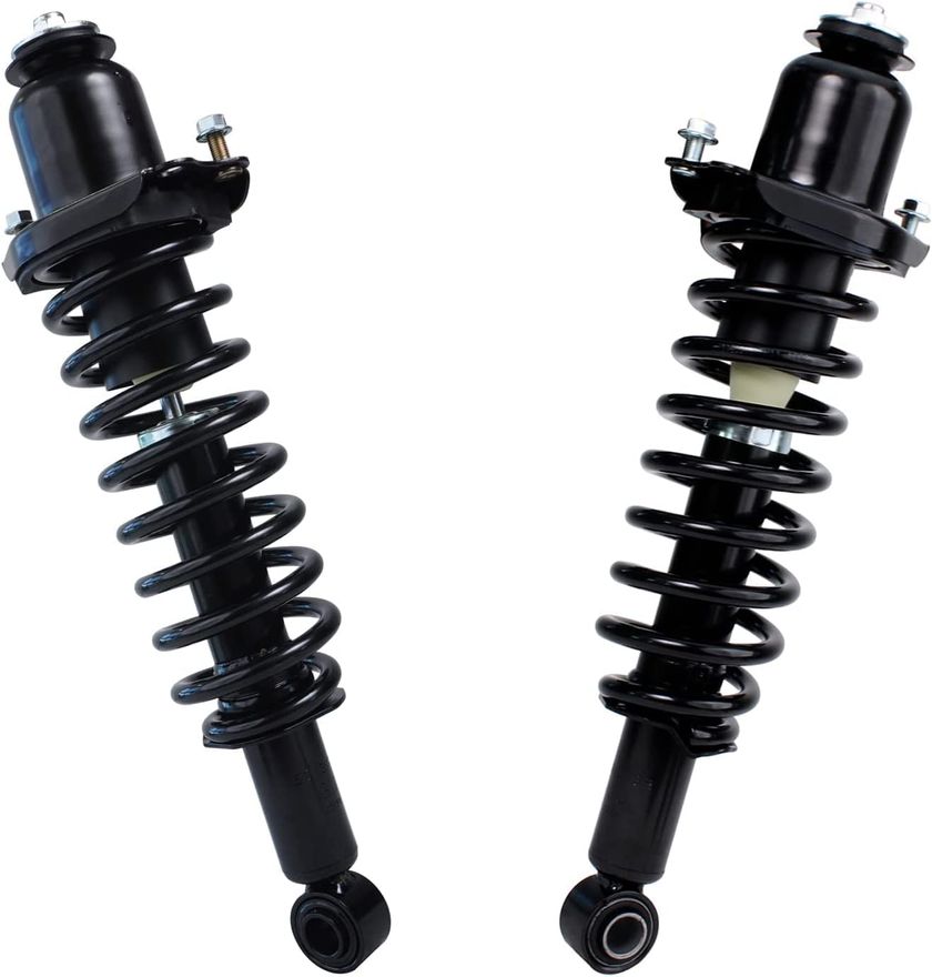 Rear Struts w/Coil Spring - 171373L_171373R