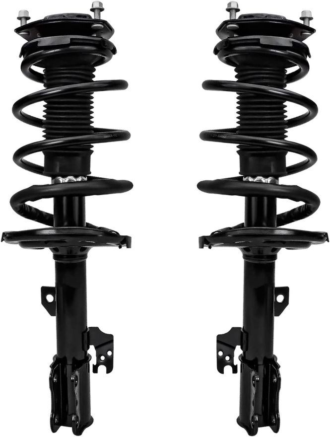 Front Strut w/Coil Spring - 172365_172366