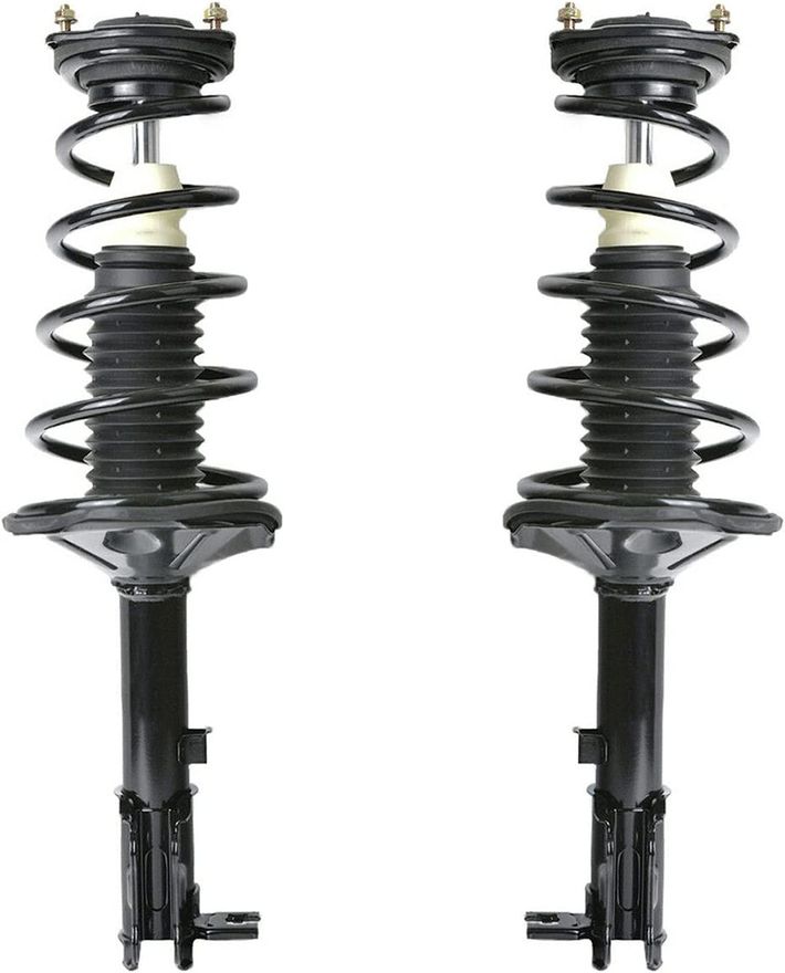 Rear Strut w/Coil Spring - 171584_171585