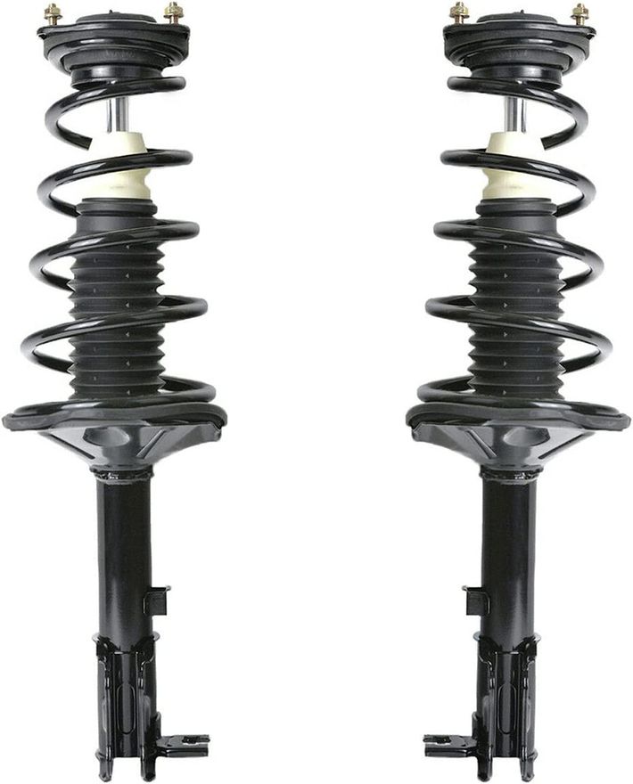 Rear Strut w/Coil Spring - 171584_171585