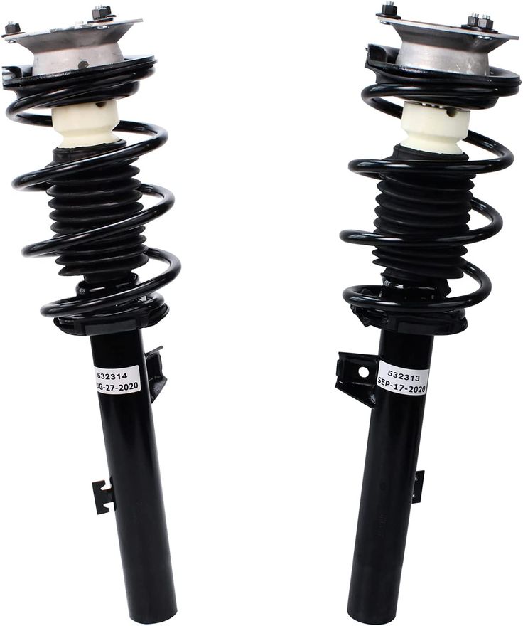 Front Struts w/Coil Spring - 172313_172314