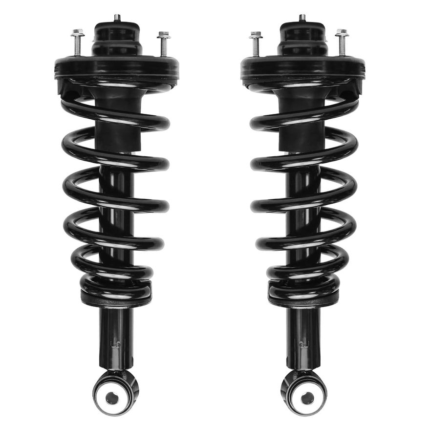 Rear Strut w/Coil Spring - 171139 x2