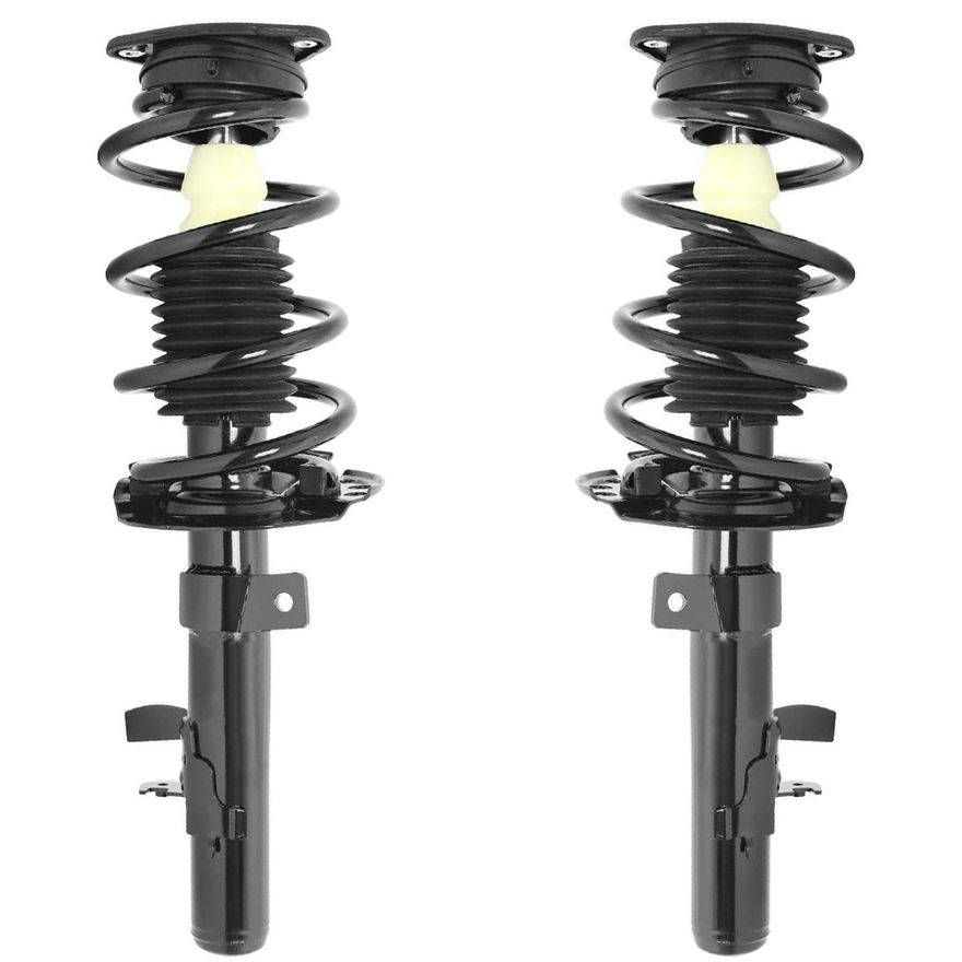 Front Struts w/Coil Spring - 172618_172619