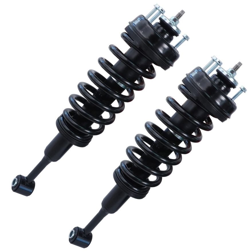 Rear Strut w/Coil Spring - 171125 x2