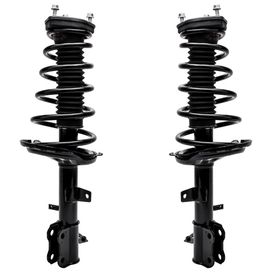 Rear Strut w/Coil Spring - 172215_172216
