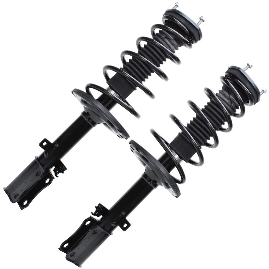 Rear Strut w/Coil Spring - 172207_172208