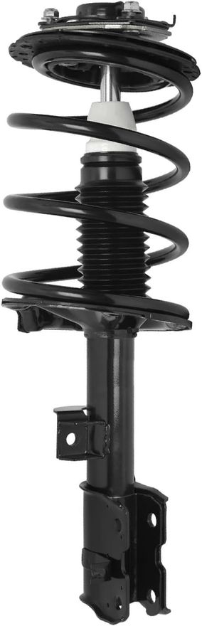 Front Strut w/Coil Spring - 11183 / 11184