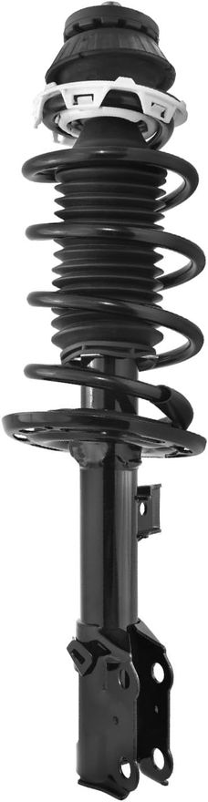 Front Strut w/Coil Spring - 11411 / 11412