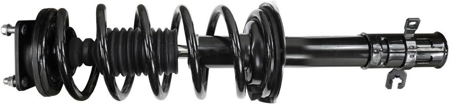 Front Strut w/Coil Spring - 11683 / 11684