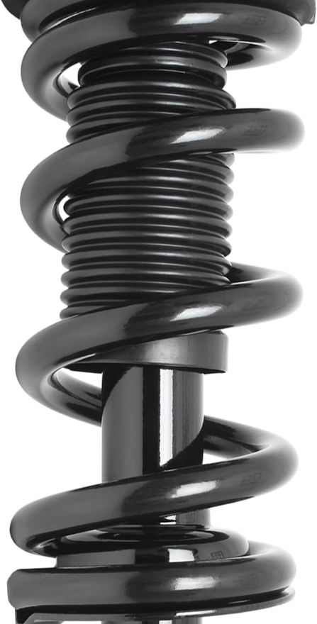 Front Strut w/Coil Spring - 11780 x2