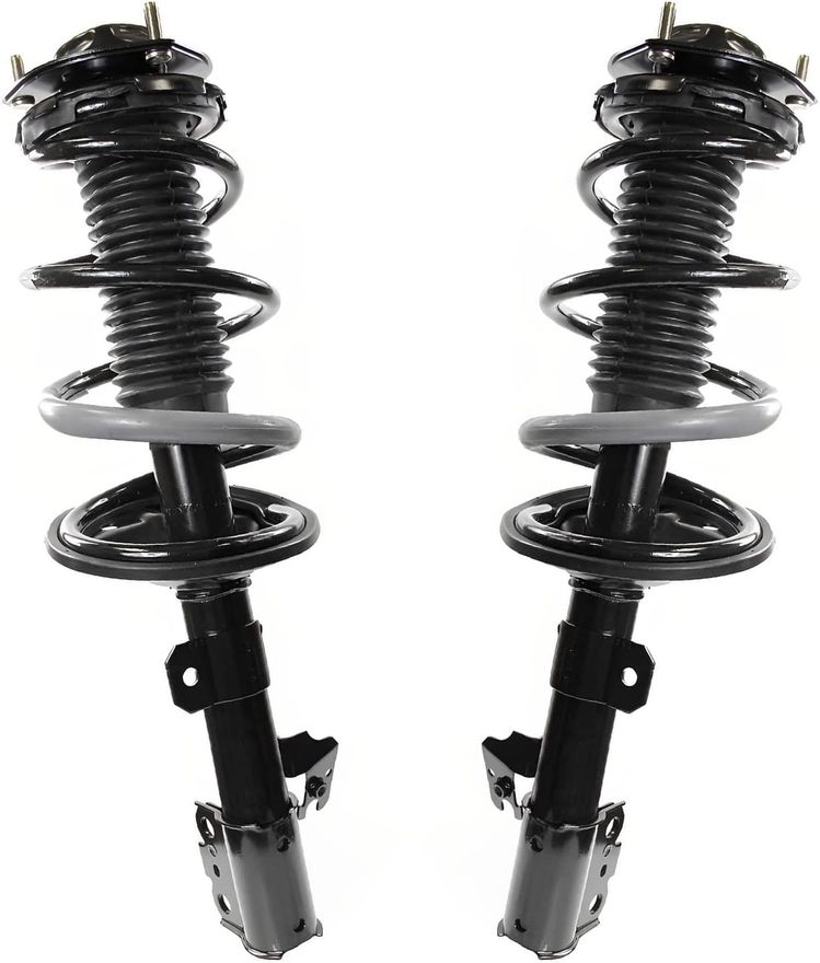 Rear Struts w/Coil Spring - 171497_171496