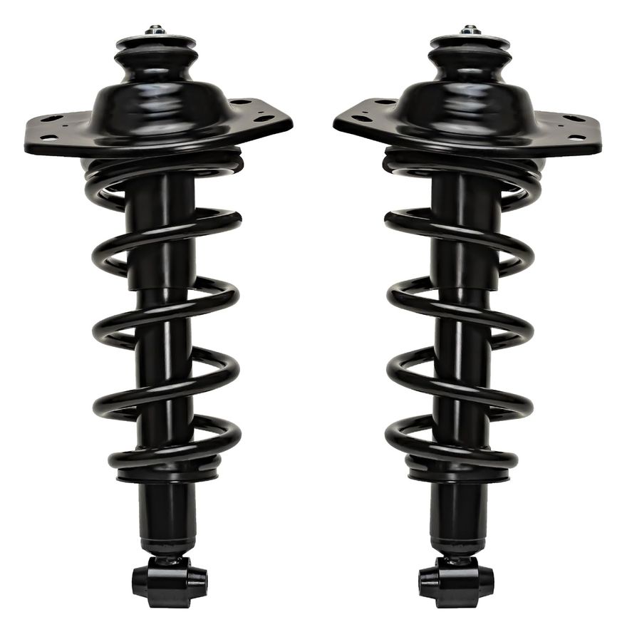 Rear Struts w/Coil Spring - 273029L_273029R