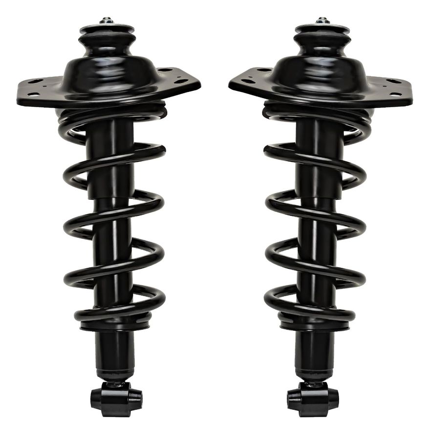 Rear Struts w/Coil Spring - 273029L_273029R