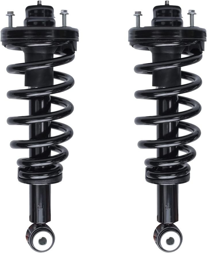 Rear Strut w/Coil Spring - 171139 x2