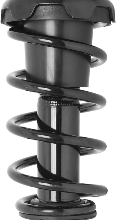Rear Left Strut w/Coil Spring - 15091