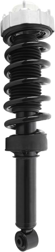 Rear Strut w/Coil Spring - 15240