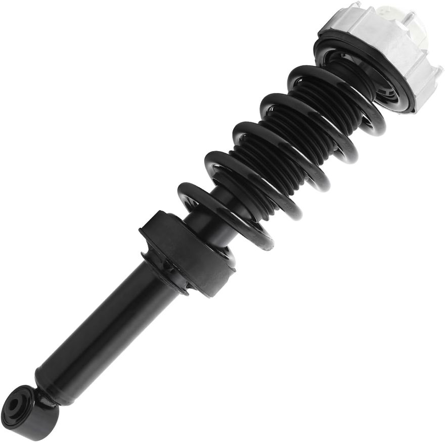 Main Image - Rear Strut w/Coil Spring