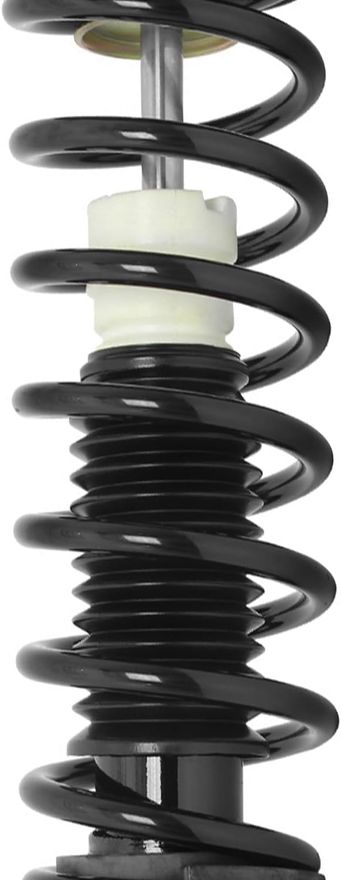 Rear Strut w/Coil Spring - 15551 / 15552