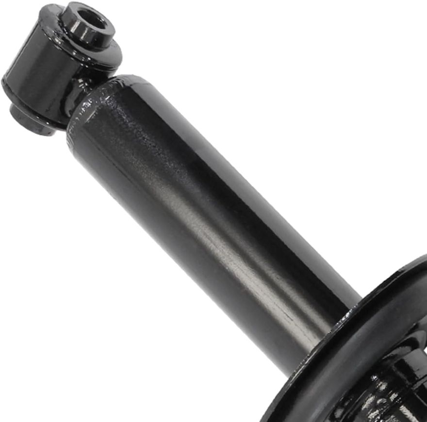 Rear Strut w/Coil Spring - 16080 x2