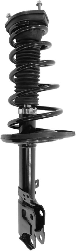 Rear Strut w/Coil Spring - 16081 / 16082