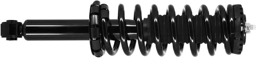 Rear Strut w/Coil Spring - 171113