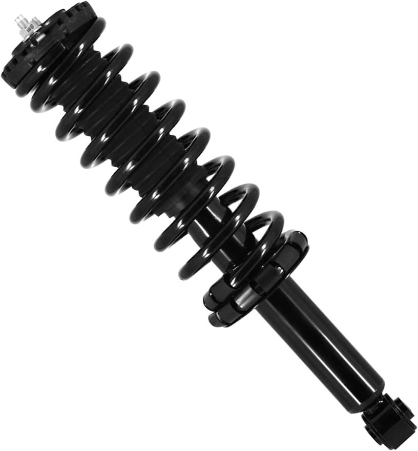 Rear Strut w/Coil Spring - 171113