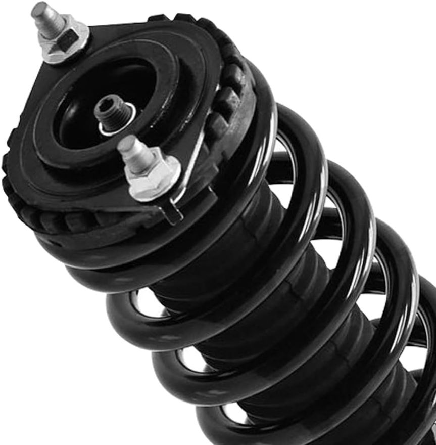 Rear Strut w/Coil Spring - 171113 x2