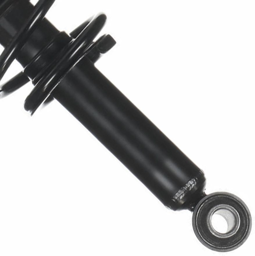 Rear Strut w/Coil Spring - 171145