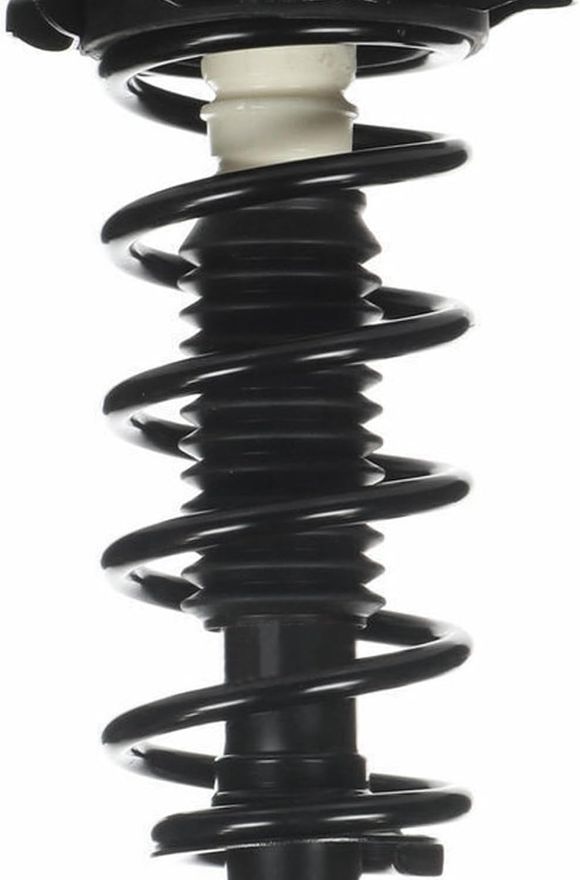 Rear Strut w/Coil Spring - 171145