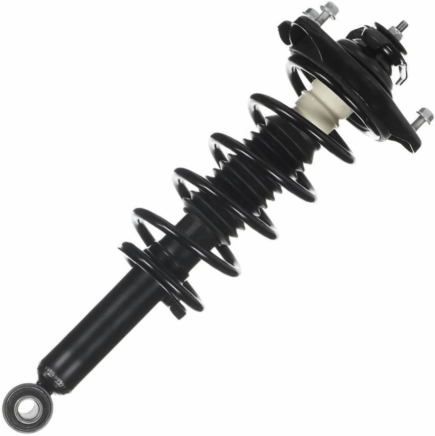 Rear Strut w/Coil Spring - 171145 x2