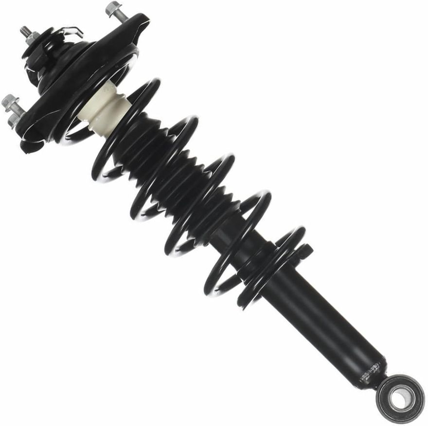 Rear Strut w/Coil Spring - 171145 x2