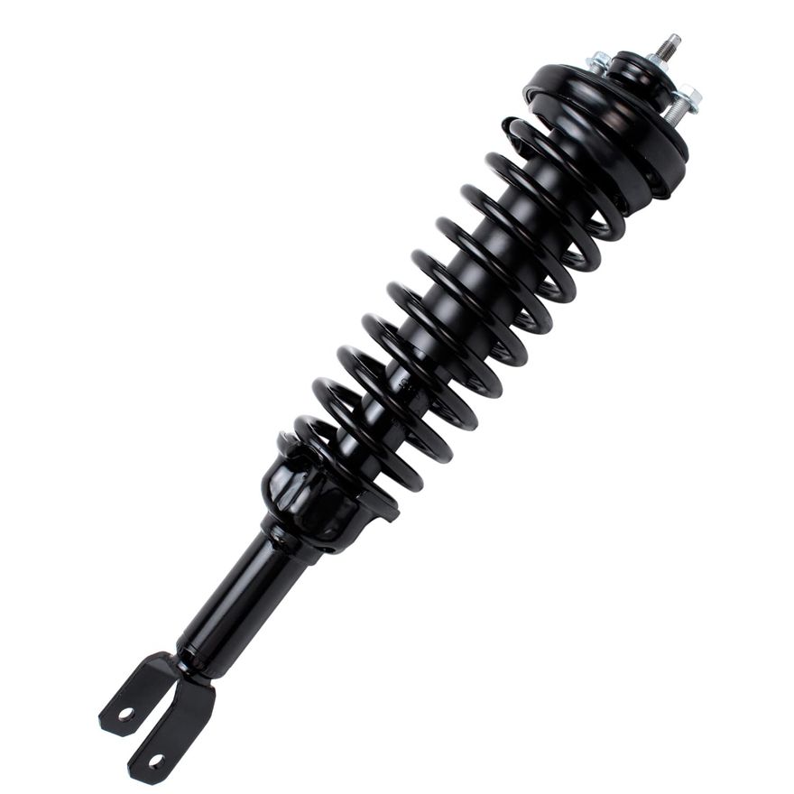 Rear Struts - 171292 x2