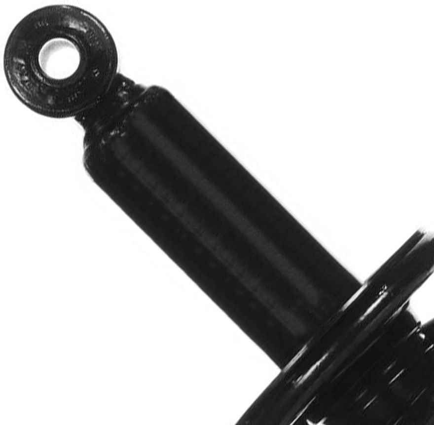 Rear Strut w/Coil Spring - 171354 x2