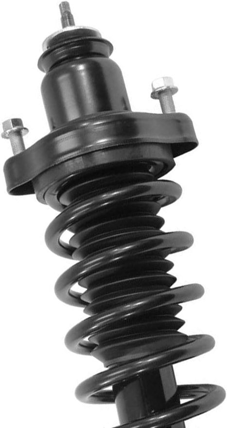 Rear Strut w/Coil Spring - 171379 x2