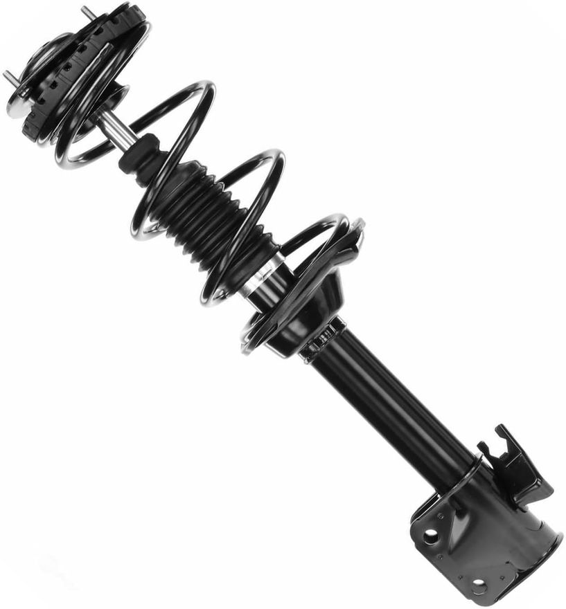 Rear Right Strut w/Coil Spring - 172412