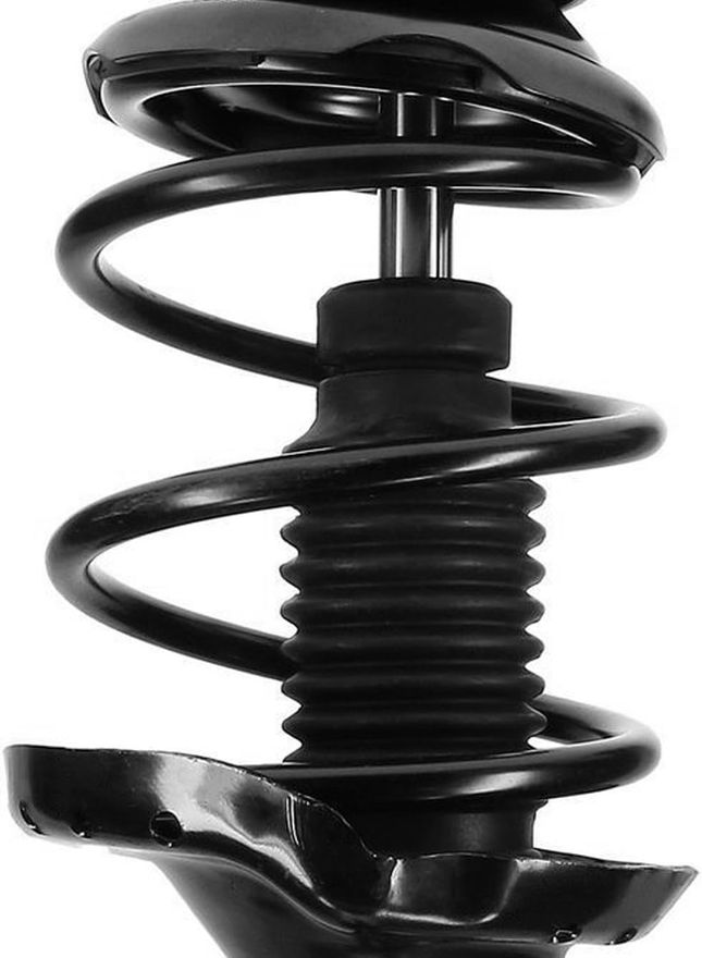 Front Strut w/Coil Spring - 172439 / 172440