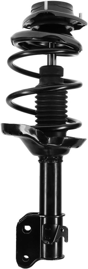 Front Strut w/Coil Spring - 172439 / 172440