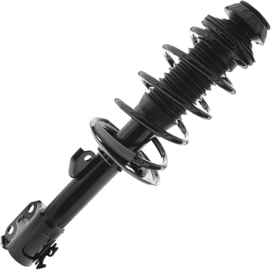 Front Strut w/Coil Spring - 172441 / 172442