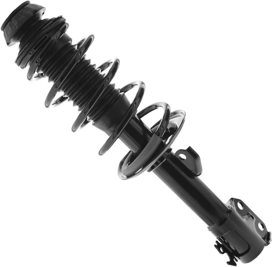 Front Strut w/Coil Spring - 172441 / 172442