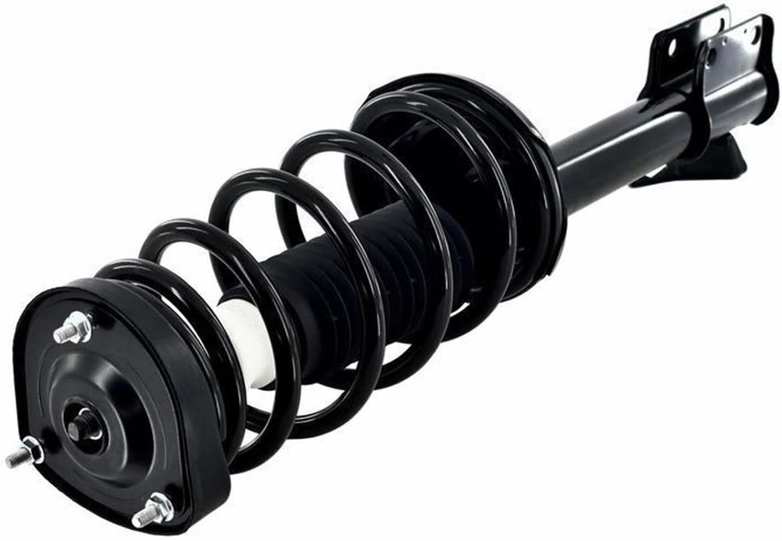 Rear Strut w/Coil Spring - 172445 / 172446