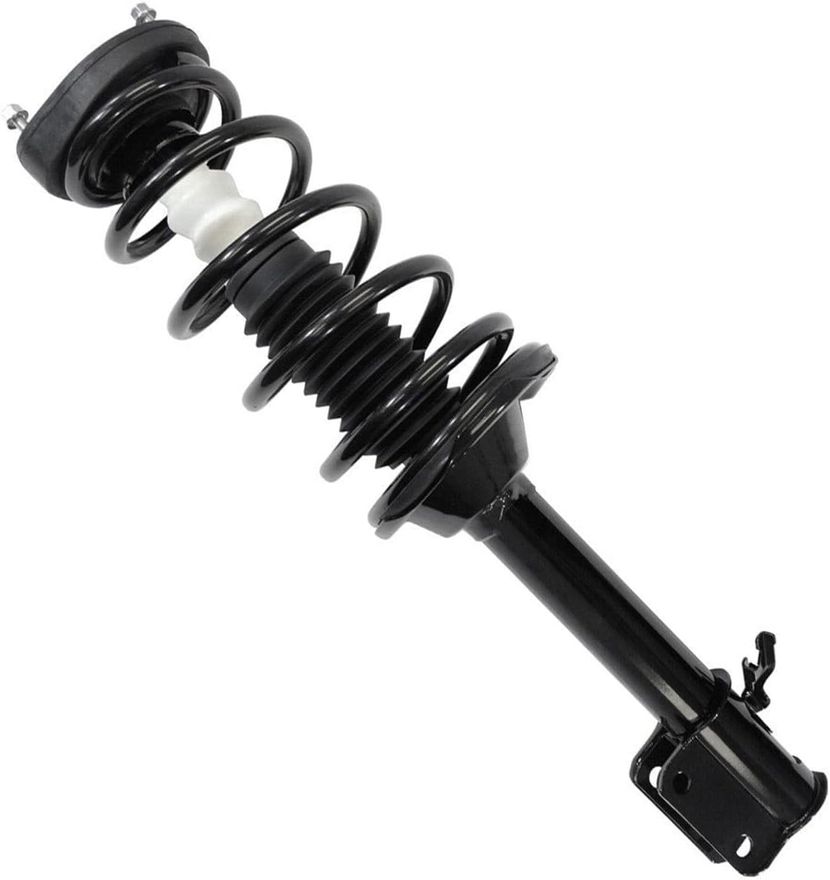 Rear Strut w/Coil Spring - 172445 / 172446